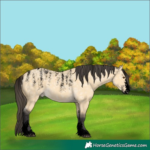Horse Color:Powder White Void Buckskin Ice Dun 