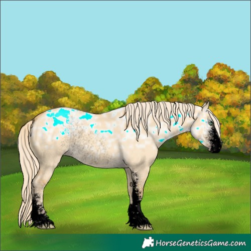 Horse Color:Void Gold Cream Champagne Ice Dun Sabino Rabicano