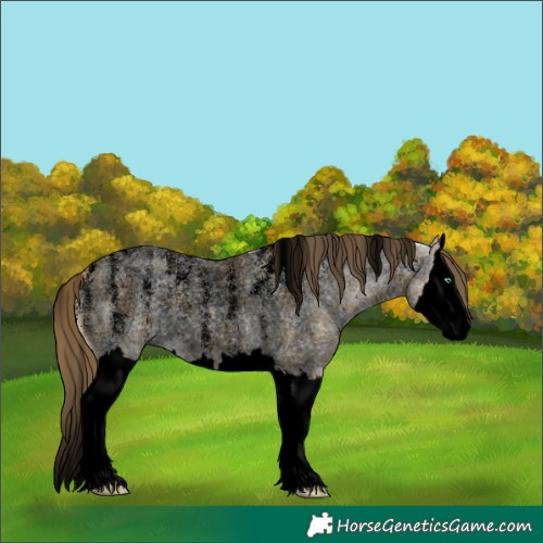 Horse Color:Powder White Void Amber Cream Champagne Ice Roan Dun Splash 