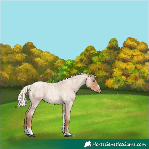 Horse Color:Silver Blue Roan Pearl Tobiano Frame 