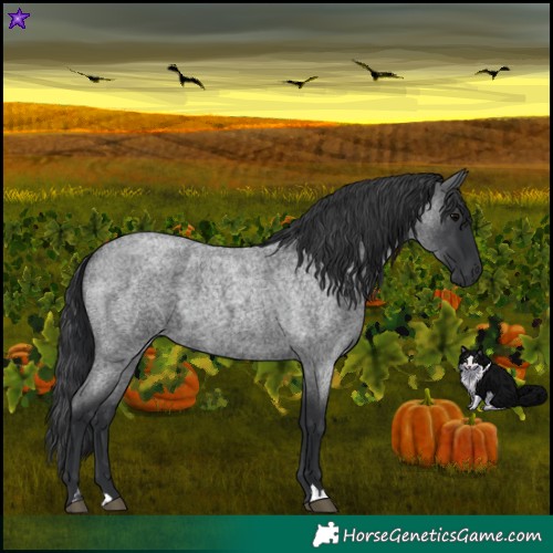 Horse Color:Blue Roan  and Blue Roan 
