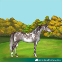 Horse Color:Platinum White Spotted Chocolate Brown Dun 