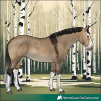 Horse Color:Gray Brown Dun Splash