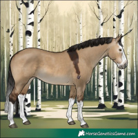 Horse Color:Gray Brown Dun Splash
