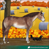 Horse Color:Chocolate Brown Dun Sabino Tobiano Rabicano 