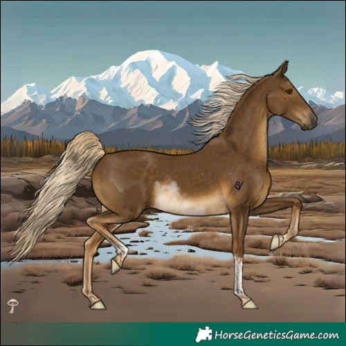 Horse Color:Chocolate Palomino Mushroom Tobiano Rabicano
