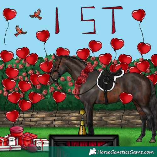 Horse Color:Black  and Brown 