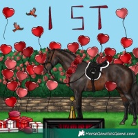 Horse Color:Black  and Brown 