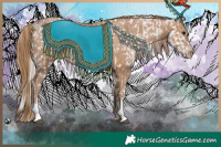 Horse Color:Silver Black Frame Appaloosa  and Black Pearl 