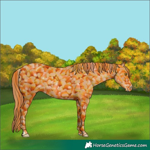 Horse Color:Gold Champagne 