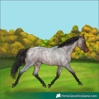Horse Color:Brown Roan Frame 