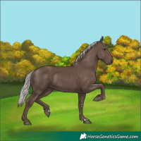 Horse Color:Silver Black 