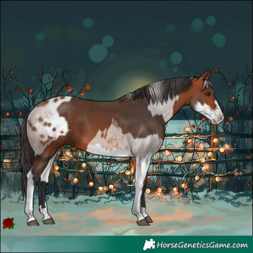 Horse Color:Bay  and Bay Splash Blanket 