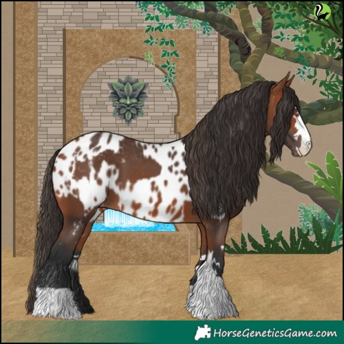 Horse Color:Bay Blanket  and Bay Near Leopard 