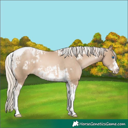 Horse Color:Chocolate Palomino Pearl Tobiano Frame and Chocolate Palomino Pearl Tobiano Frame