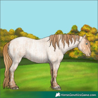 Horse Color:Buckskin Roan Pearl  and Bay Roan Pearl 