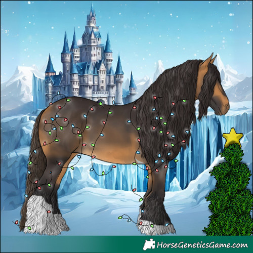 Horse Color:Buckskin Tobiano 