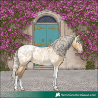 Horse Color:Gray Silver Amber Cream Champagne Roan Dun Splash Tobiano Frame Blanket Rabicano 