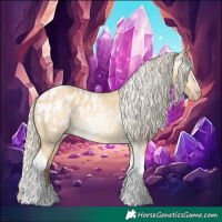 Horse Color:Gray Silver Amber Cream Champagne Roan Dun Splash Tobiano Frame Appaloosa Rabicano