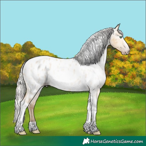 Horse Color:Gray Silver Amber Cream Champagne Roan Dun Splash Tobiano Frame Near Leopard Rabicano