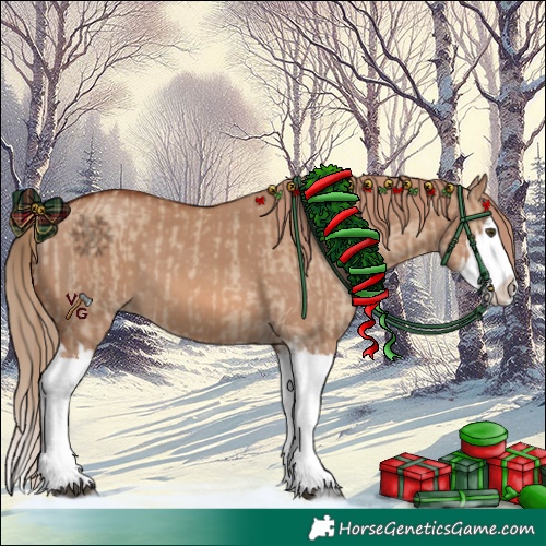 Horse Color:Red Dun Splash and Red Dun Splash