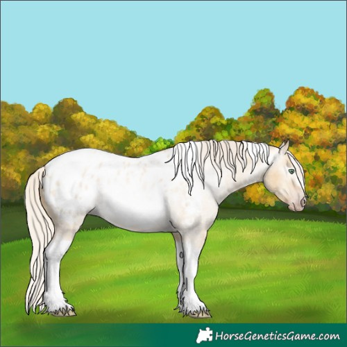 Horse Color:Gray Silver Amber Cream Champagne Roan Dun Splash Tobiano Frame Appaloosa Rabicano 