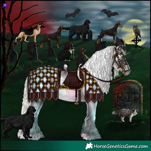 Horse Color:Gray Silver Amber Cream Champagne Roan Dun Splash Tobiano Frame Appaloosa Rabicano