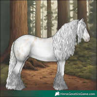 Horse Color:Gray Silver Amber Cream Champagne Roan Dun Splash Tobiano Frame Blanket Rabicano 