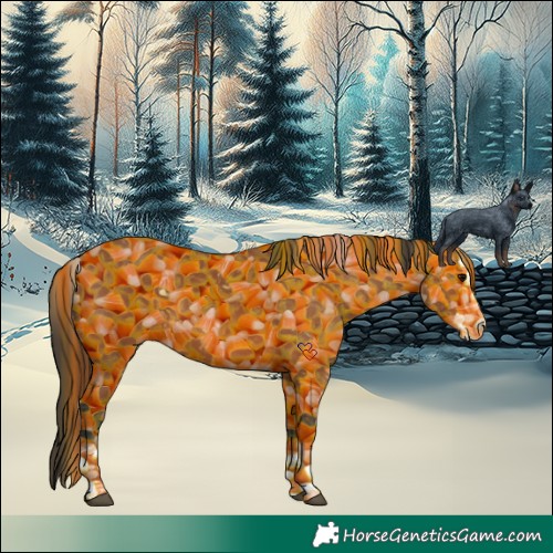 Horse Color:Bay Splash 