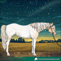 Horse Color:Gray Silver Amber Cream Champagne Roan Dun Splash Tobiano Frame Appaloosa Rabicano