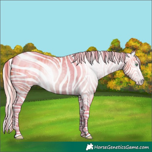 Horse Color:Gray Silver Amber Cream Champagne Roan Dun Splash Tobiano Frame Appaloosa Rabicano