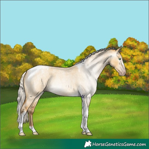 Horse Color:Gray Silver Amber Cream Champagne Roan Dun Splash Tobiano Frame Appaloosa Rabicano 