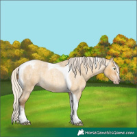 Horse Color:Gray Silver Amber Cream Champagne Roan Dun Splash Tobiano Frame Appaloosa Rabicano 