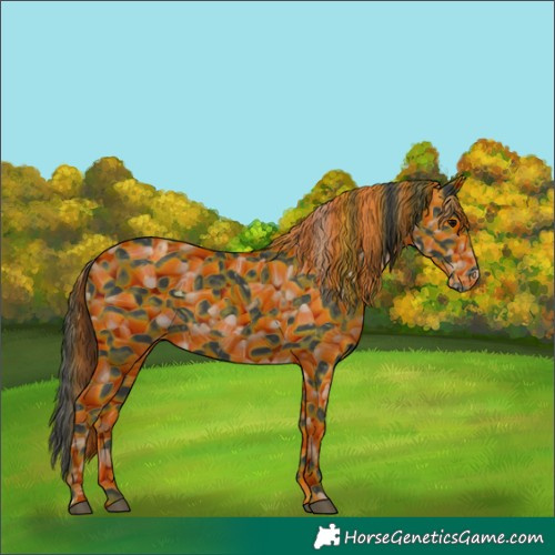 Horse Color:Black Varnish