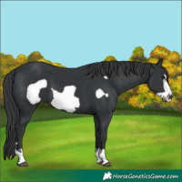 Horse Color:Black Frame