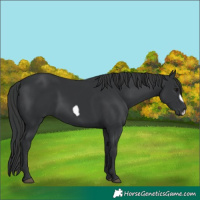 Horse Color:Black Frame 