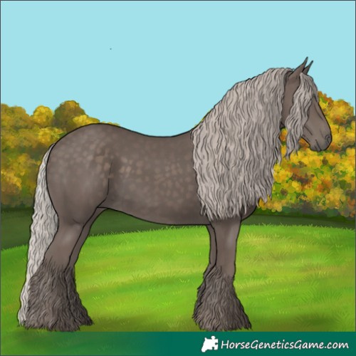 Horse Color:Silver Black 