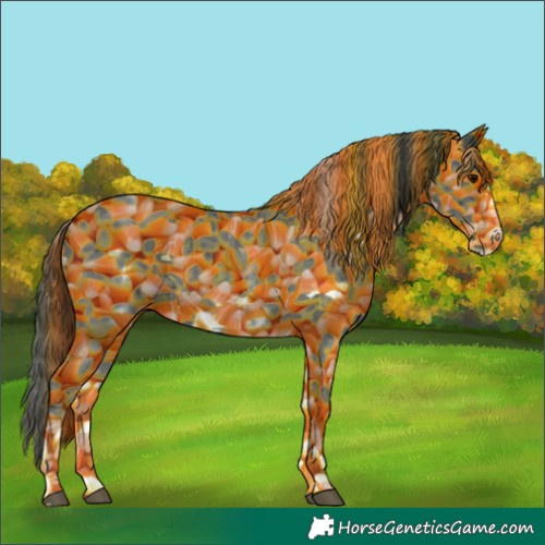 Horse Color:White Spotted Black Sabino Frame