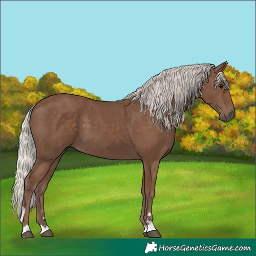 Horse Color:Silver Black 