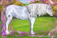 Horse Color:Red Roan Sabino Splash Appaloosa 