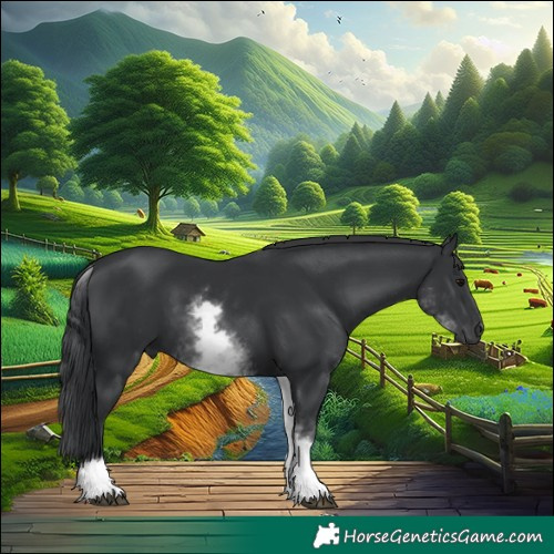 Horse Color:White Spotted Black 