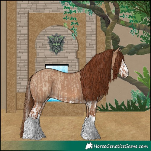 Horse Color:Red Dun Splash  and Red Dun Splash 