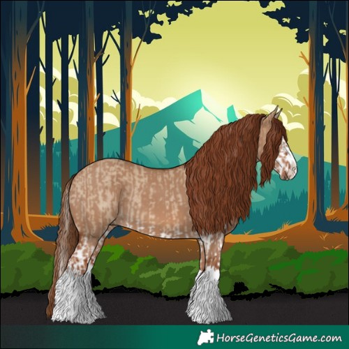 Horse Color:Red Dun Splash and Red Dun Splash