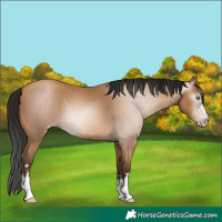 Horse Color:Gray Amber Champagne 