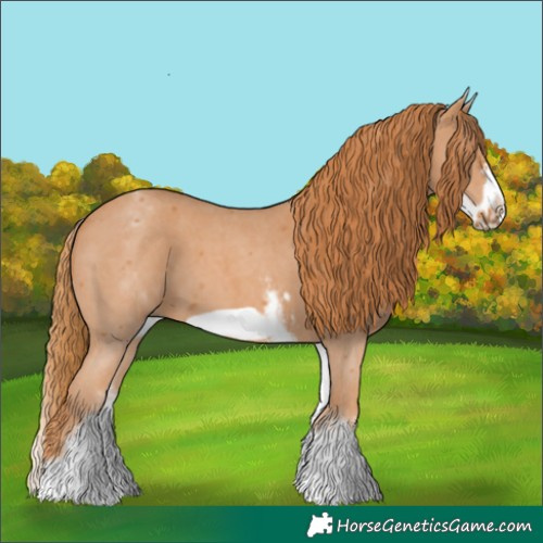 Horse Color:White Spotted Chestnut Sabino Frame 