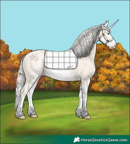 Horse Color:White Spotted Cremello Sabino Frame 