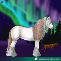 Horse Color:White Spotted Red Dun Sabino Frame 
