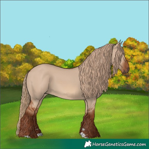 Horse Color:Red Dun 