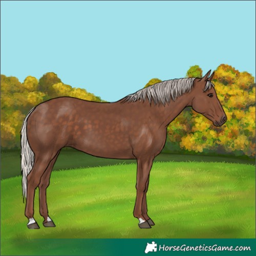 Horse Color:Silver Black 