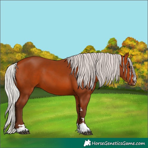 Horse Color:Silver Bay